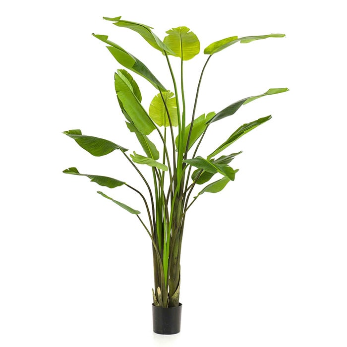 Kunstplant Strelitzia - H235