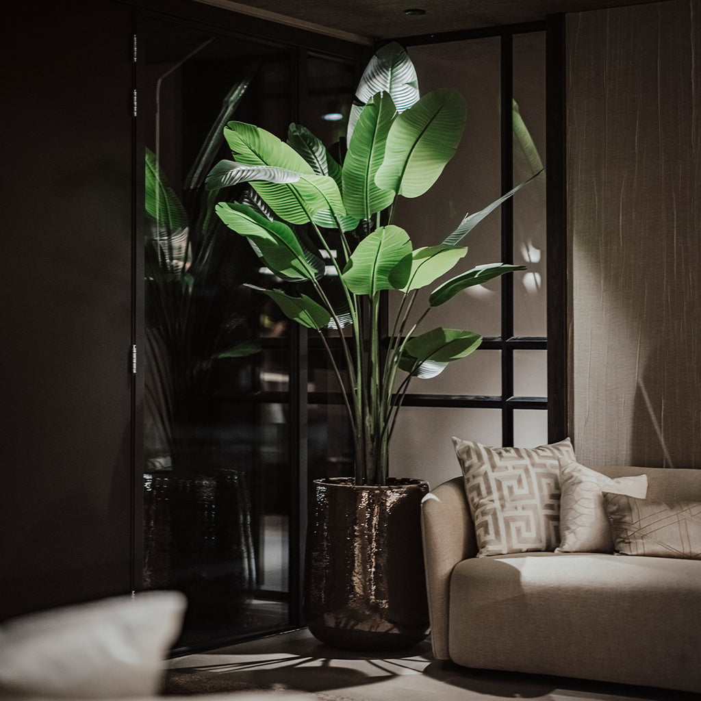 Kunstplant Strelitzia - H235