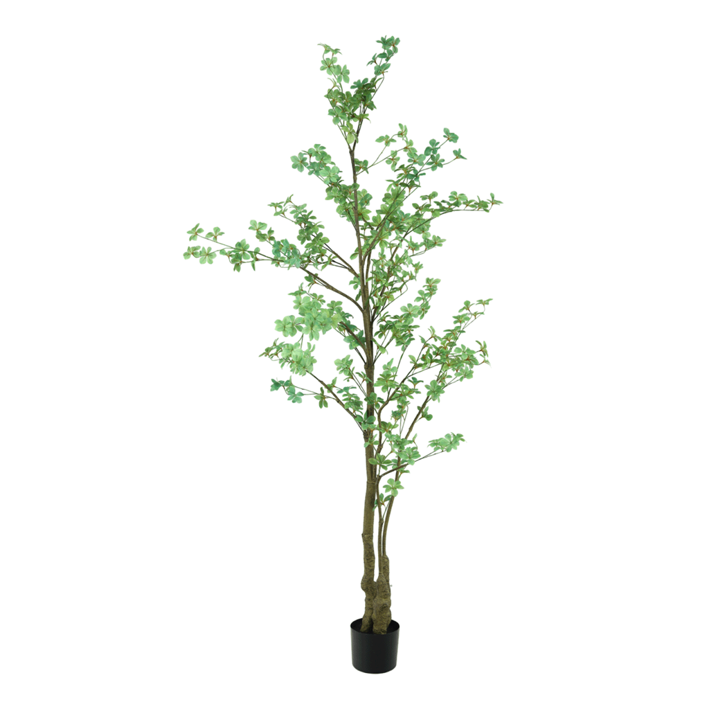 Plant Tropaeolum - Groen - H210