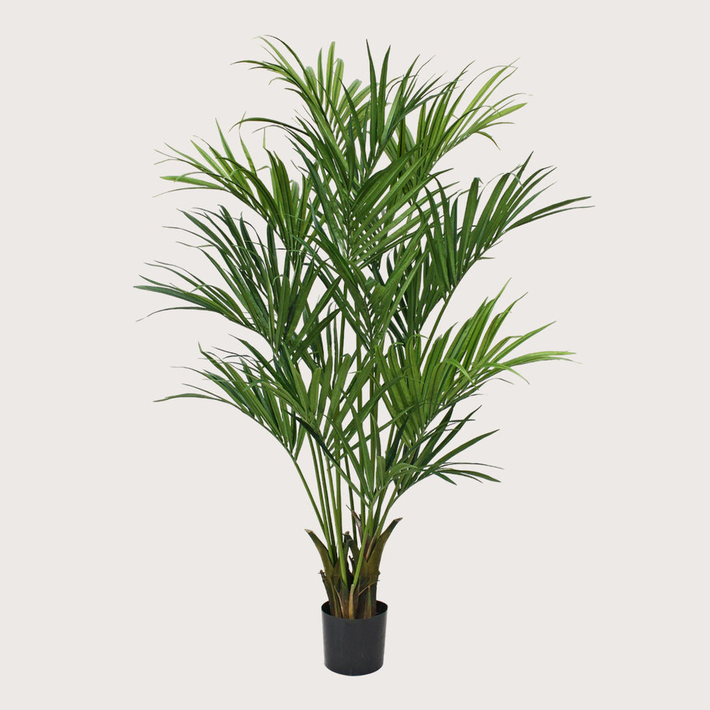 Kunstplant Plant Kentia Palm - H190