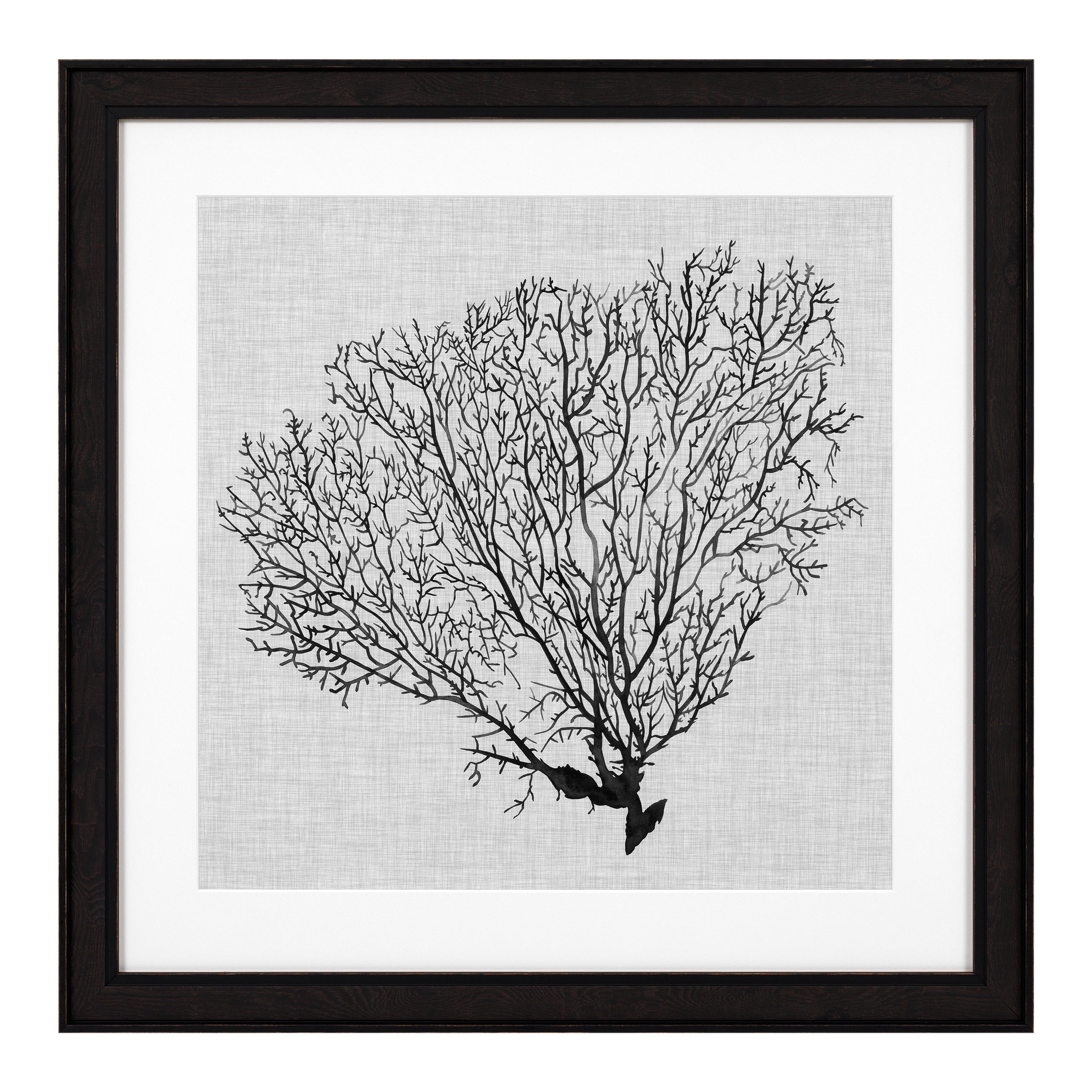 Print 'Shadow Sea Fans' (set van 4