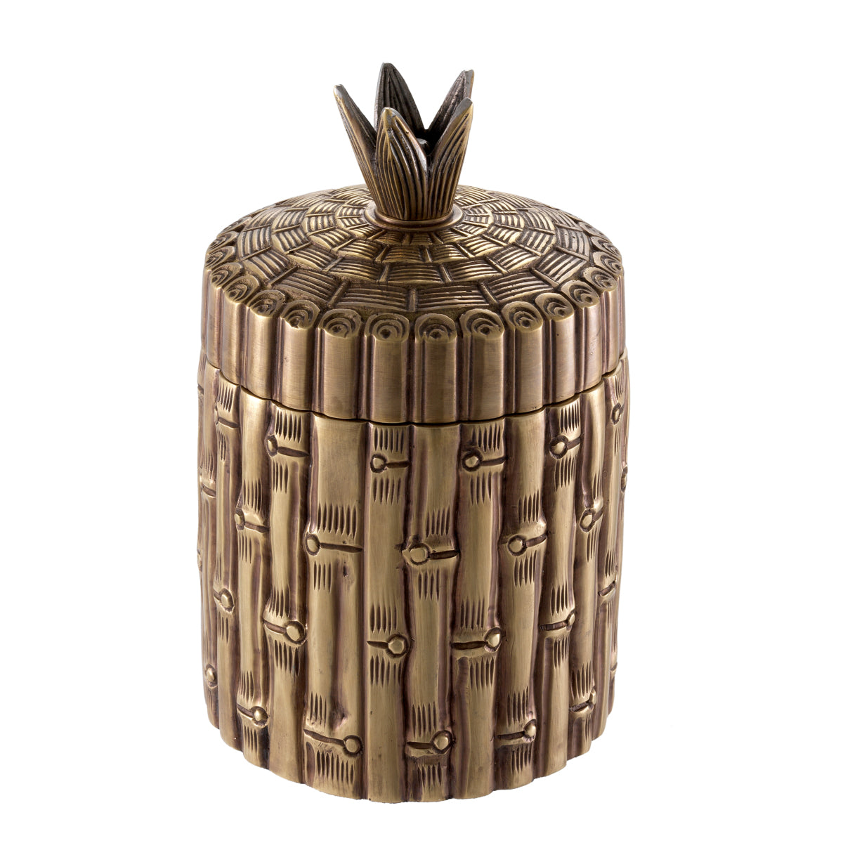 Box Bamboo - Brass