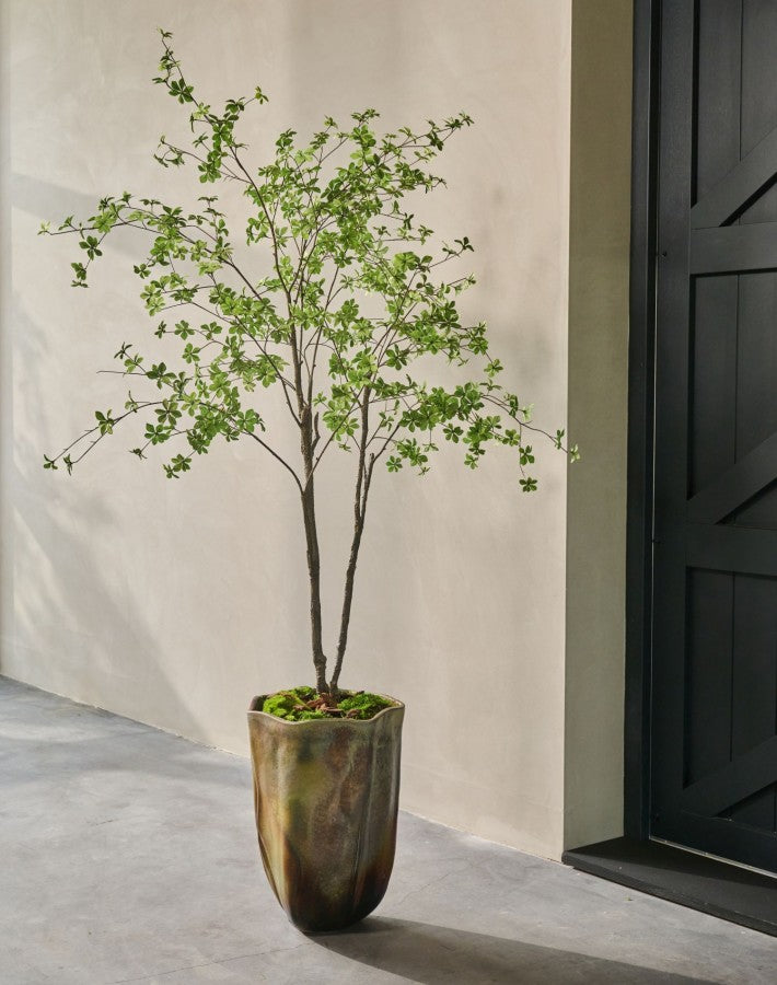 Boom Bucida LT | 218 cm