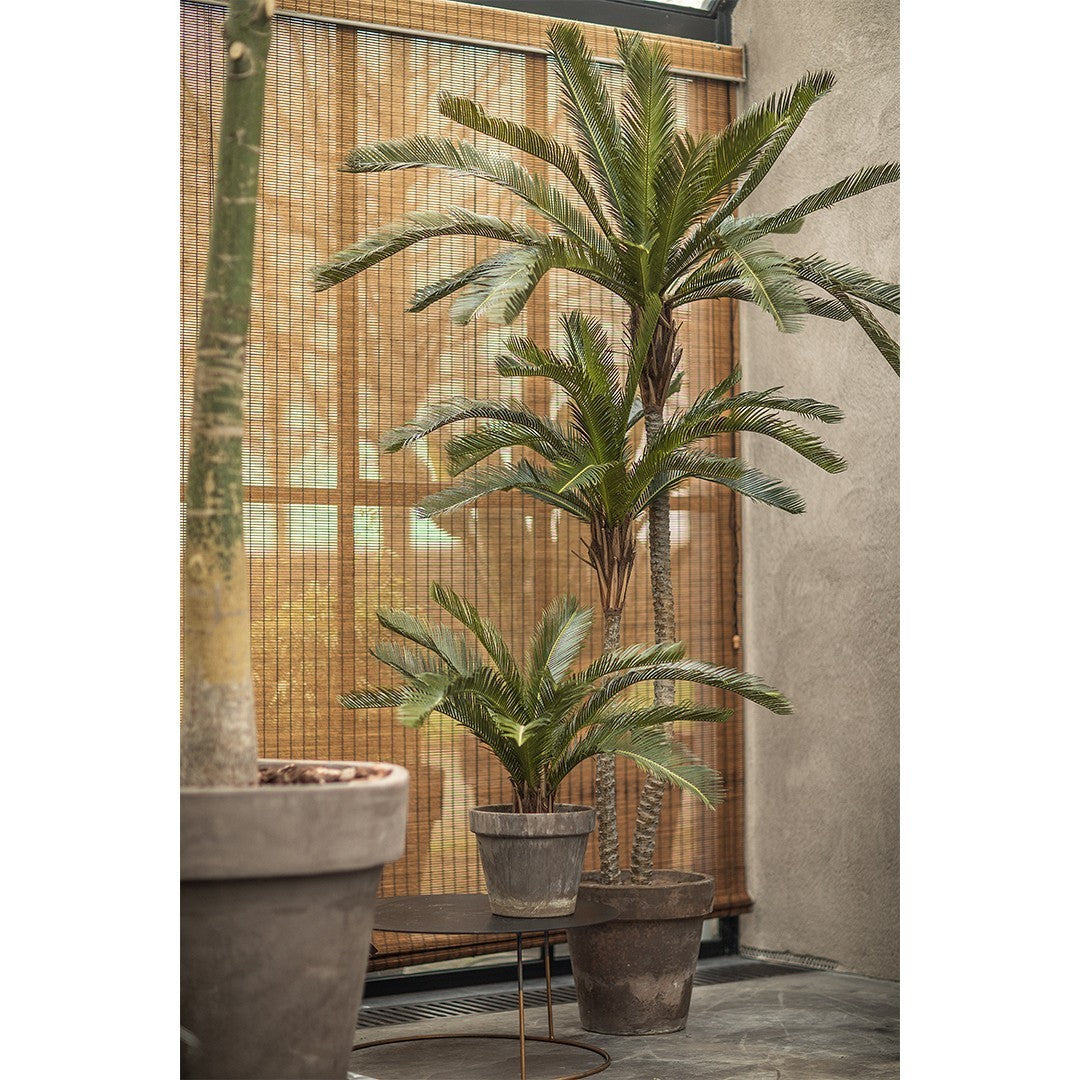Plant Palm Groen | 180 cm