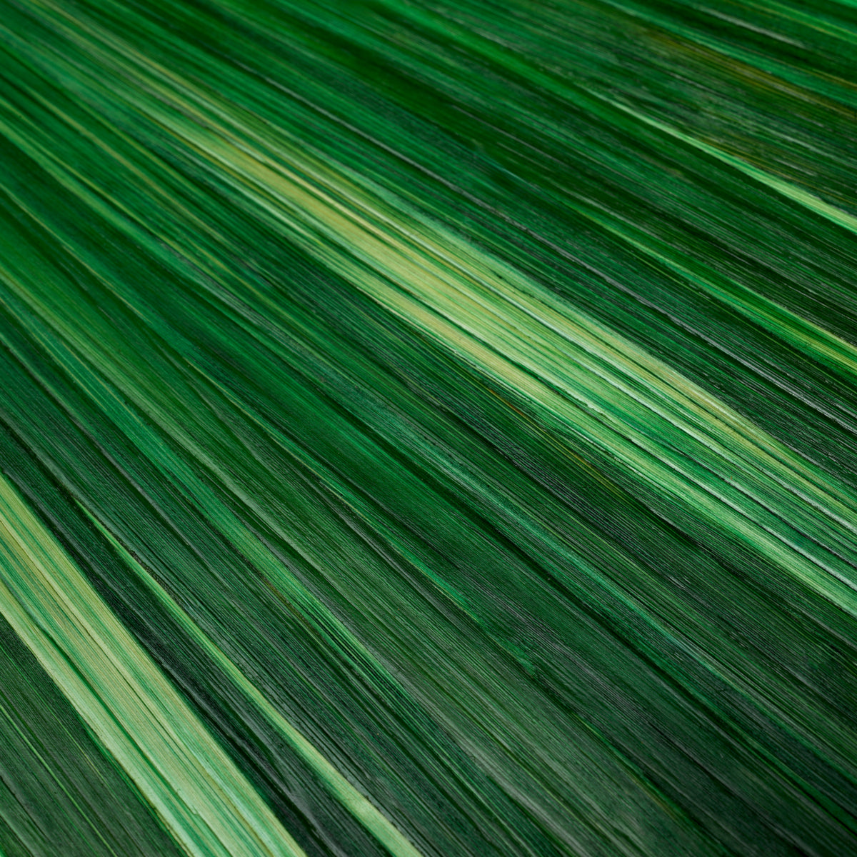 Dienblad Harvard - S - Groen