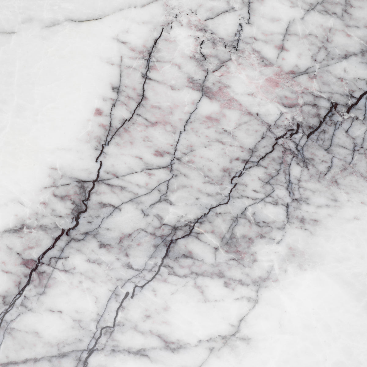 Salontafel Presedio - Walnut veneer