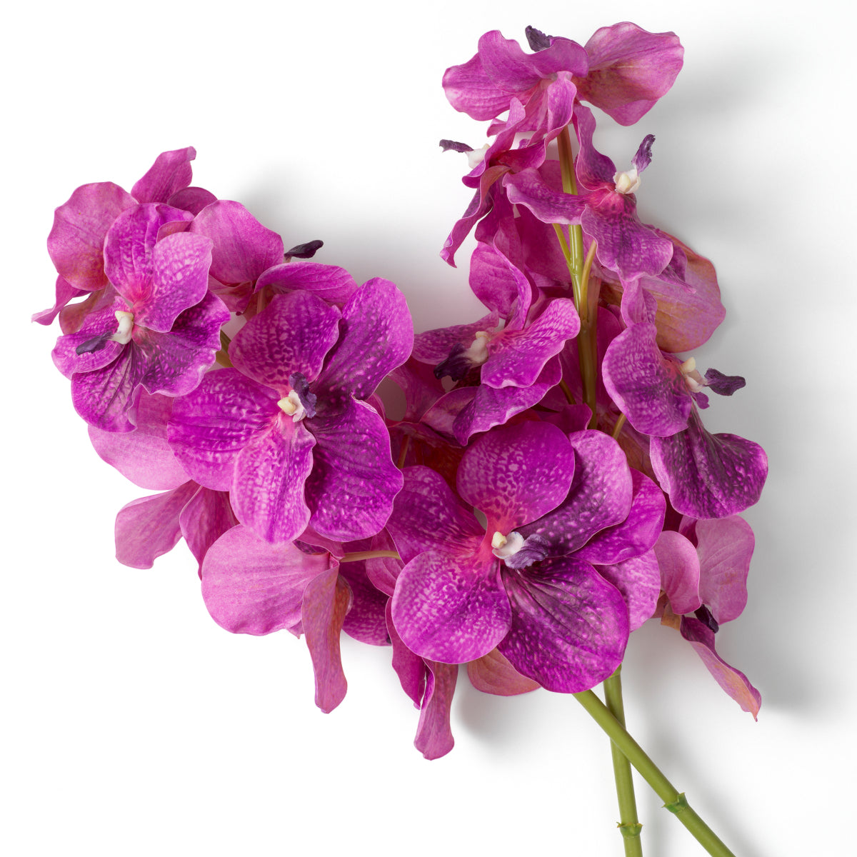 Kunstboeket Vanda Orchideën - Fuchsia - 24 stuks