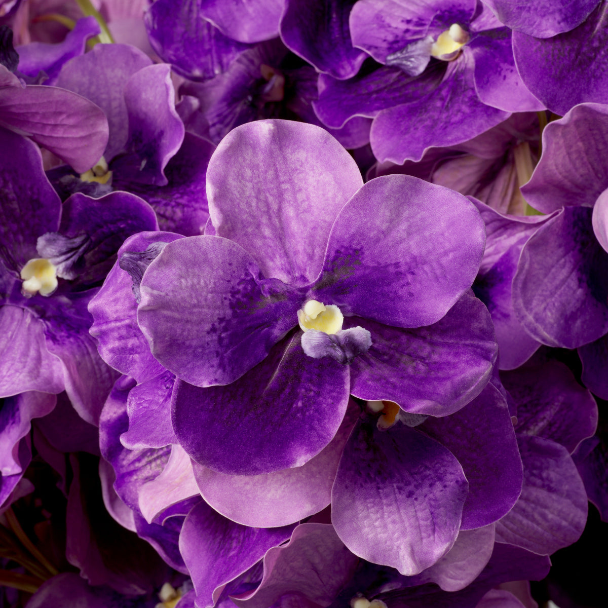 Kunstboeket Vanda Orchideën - Paars - 24 stuks