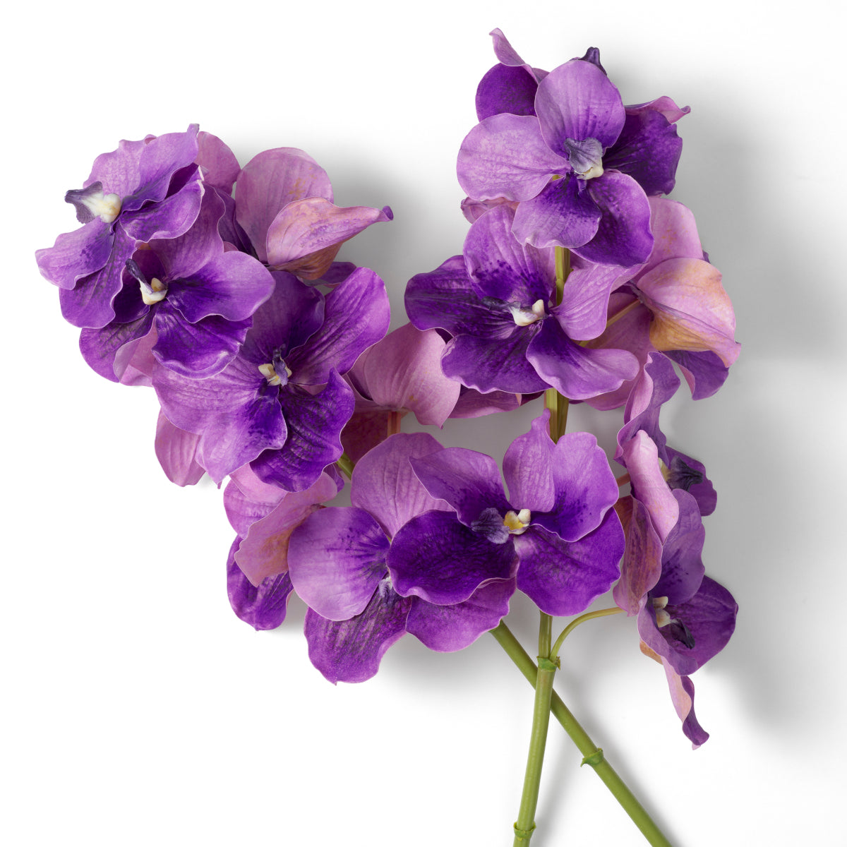 Kunstboeket Vanda Orchideën - Paars - 24 stuks