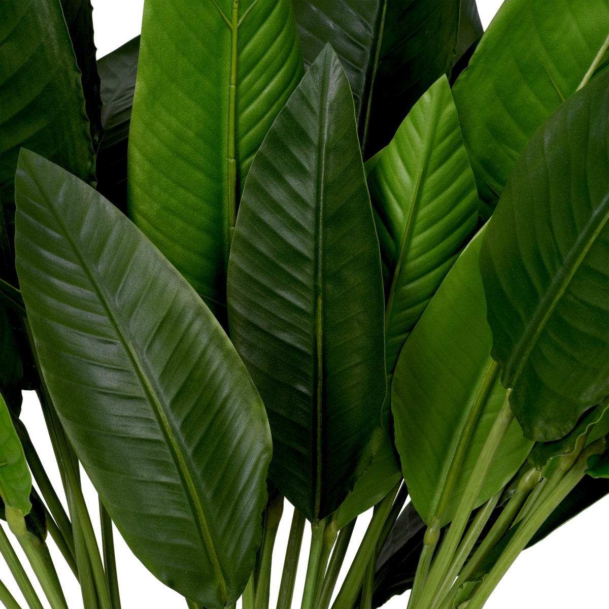 Kunstbladeren Strelitzia