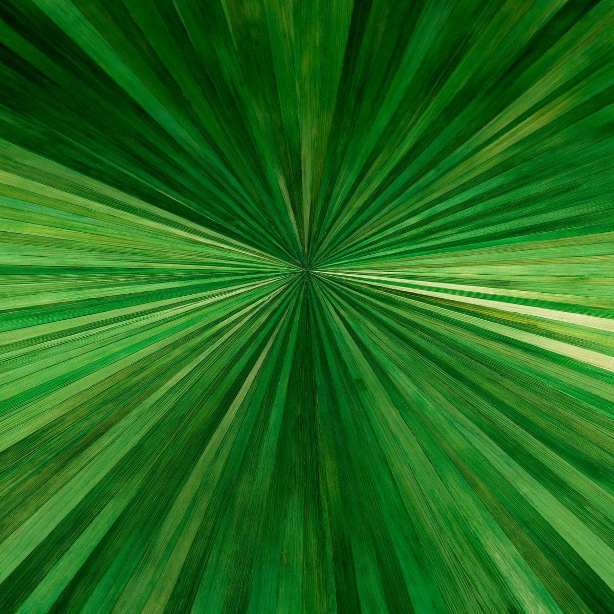 Bijzettafel Albany - Straw marquetry green