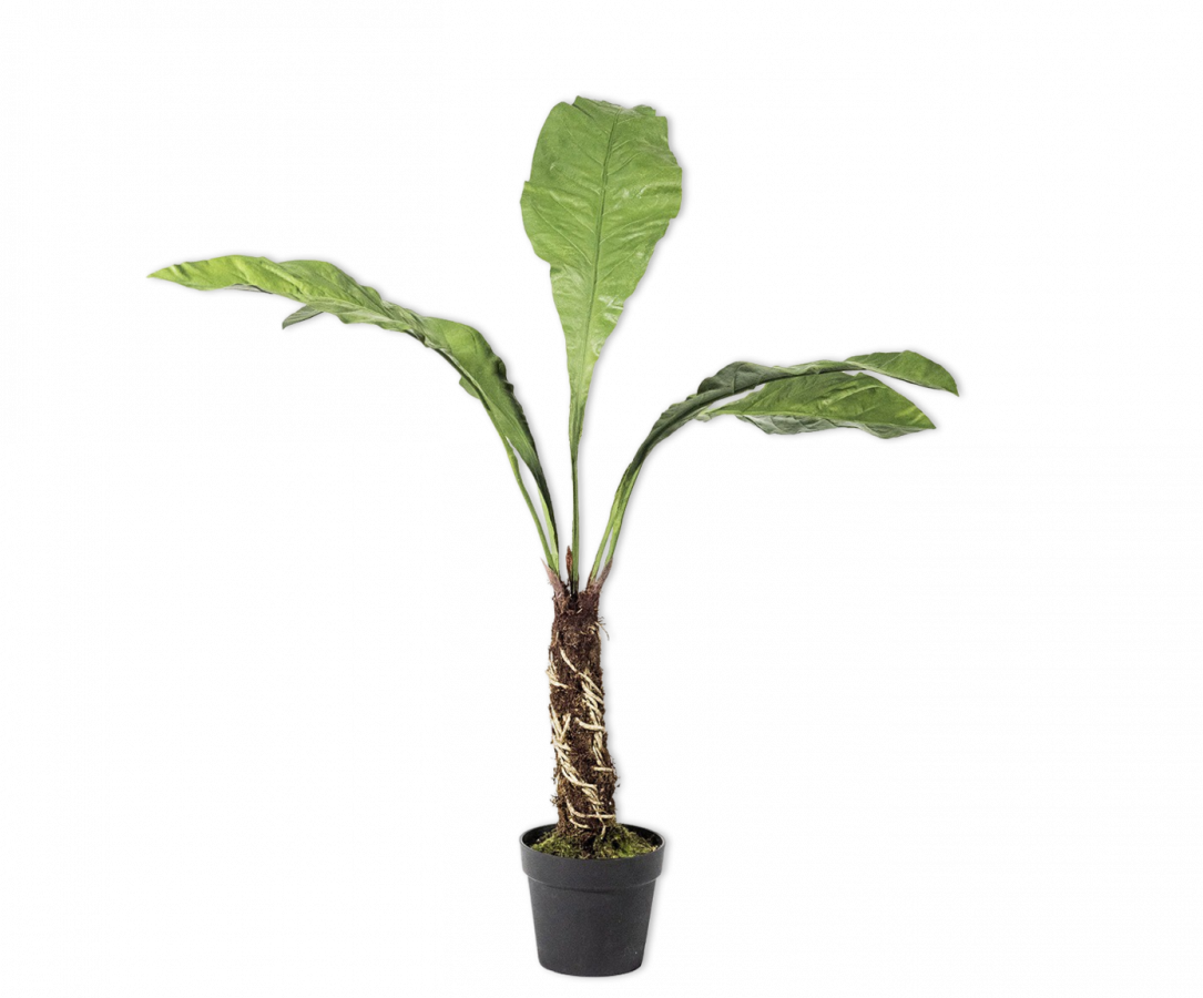 Plant Varen Groen | 140 cm