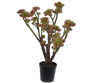 Plant Succulent groen | 73 cm