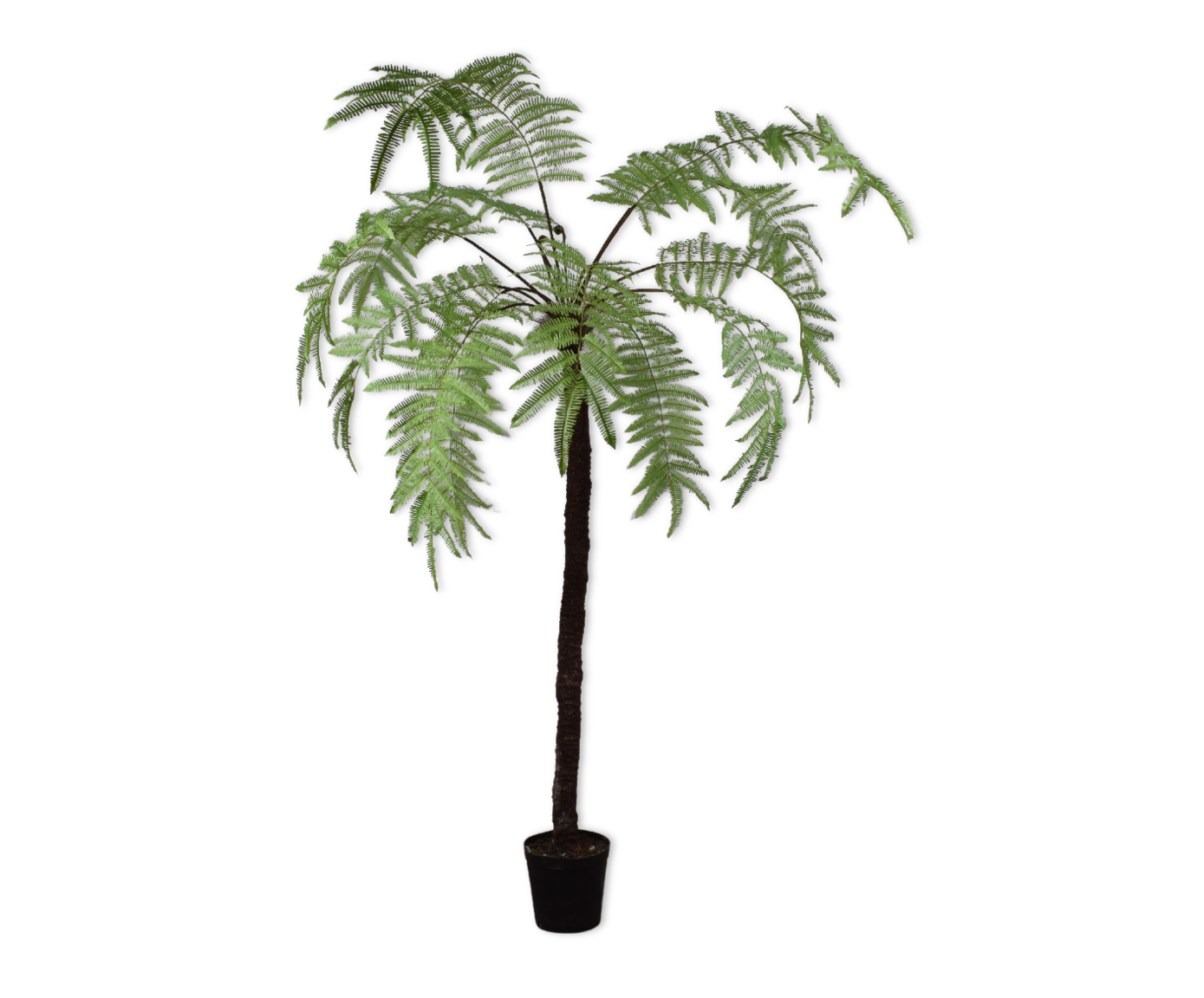 Plant Varen Groen LT | 246 cm