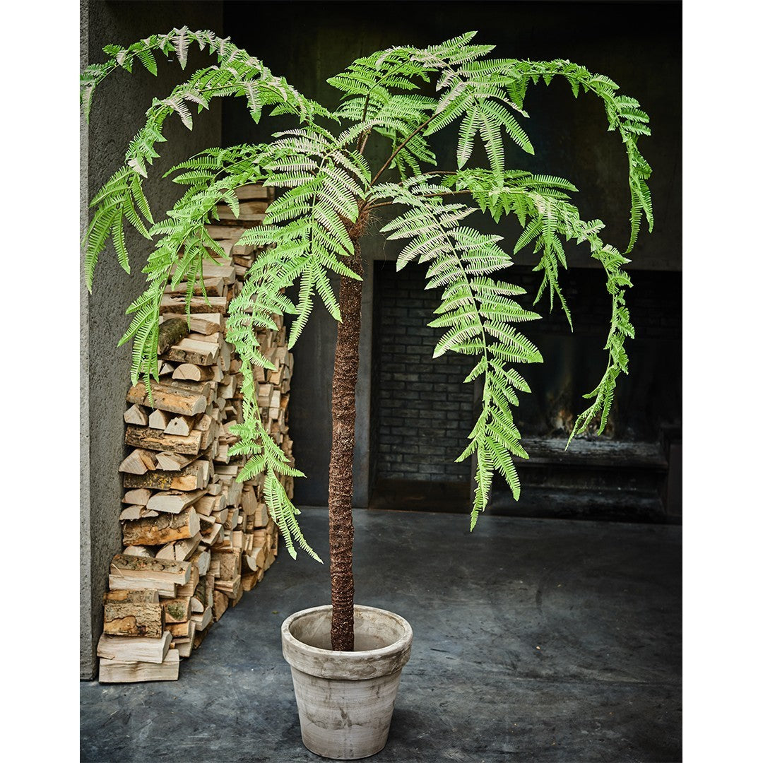 Plant Varen Groen LT | 246 cm