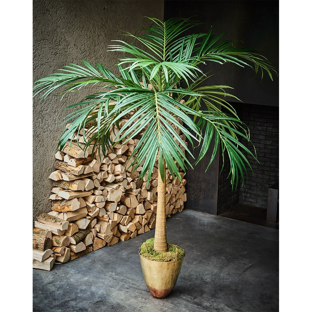 Boom Palm Groen | 190 cm