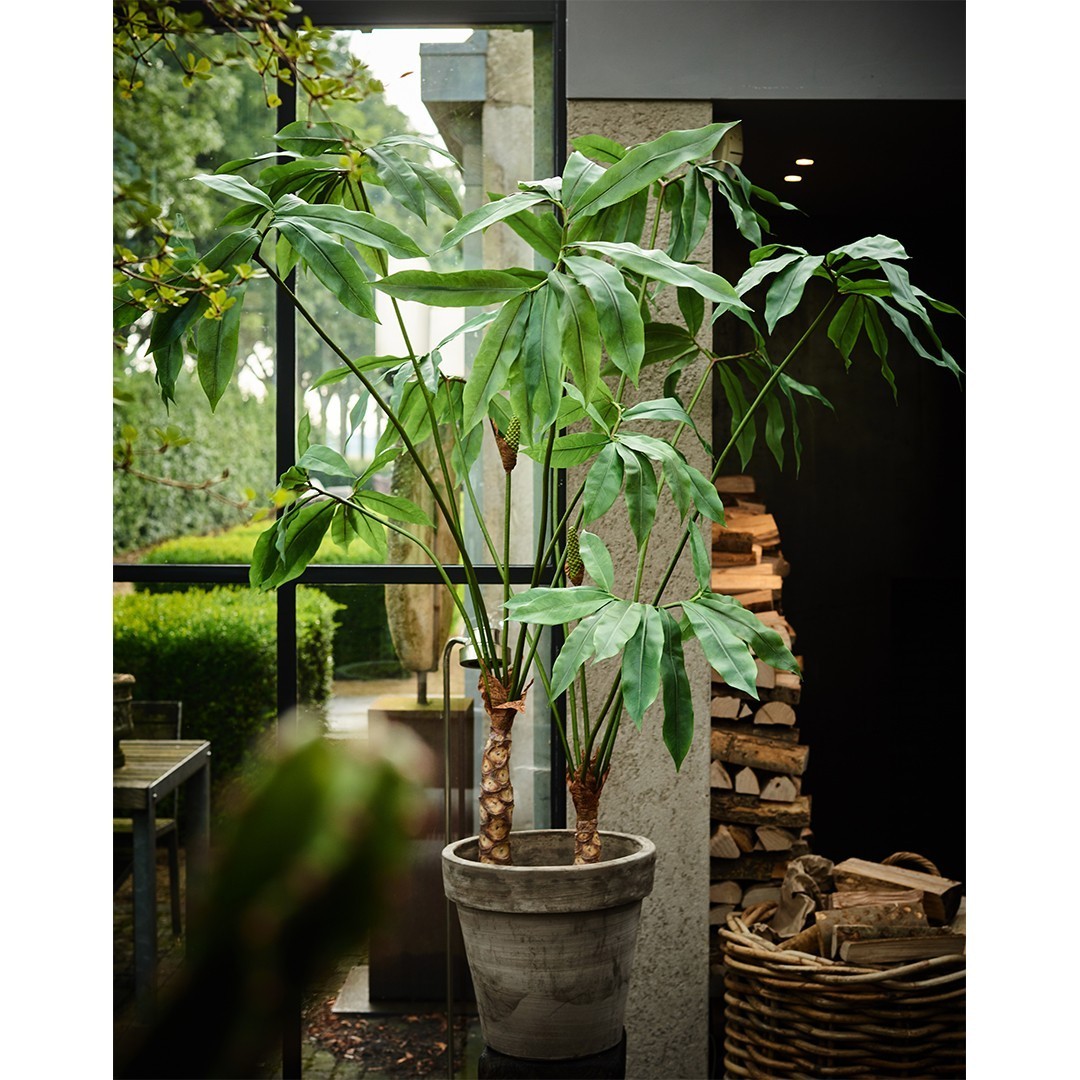 Plant Groen | 204 cm