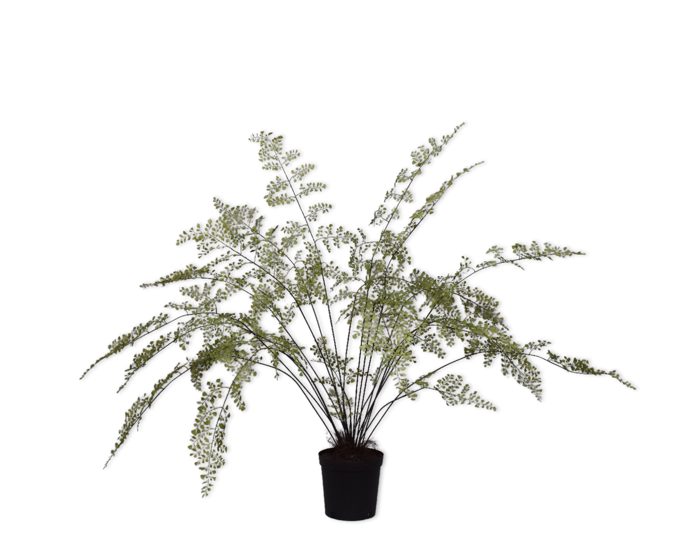 Plant palm groen | 123 cm