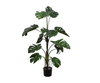 Plant Monstera Groen | 119 cm