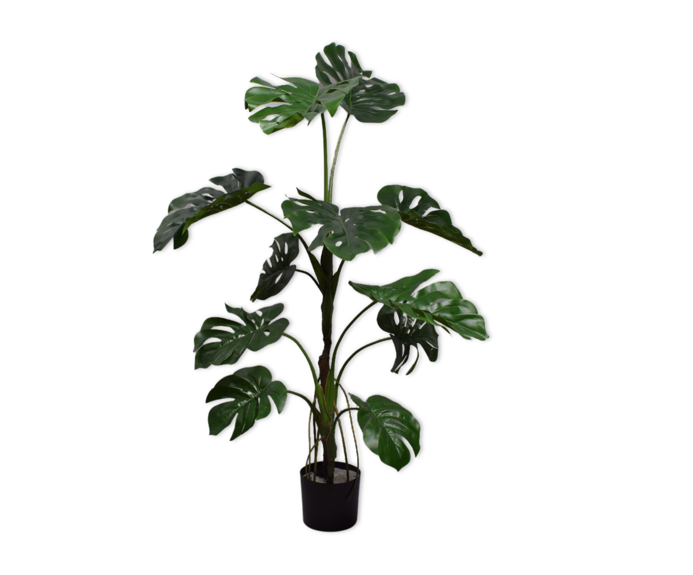 Plant Monstera Groen | 119 cm