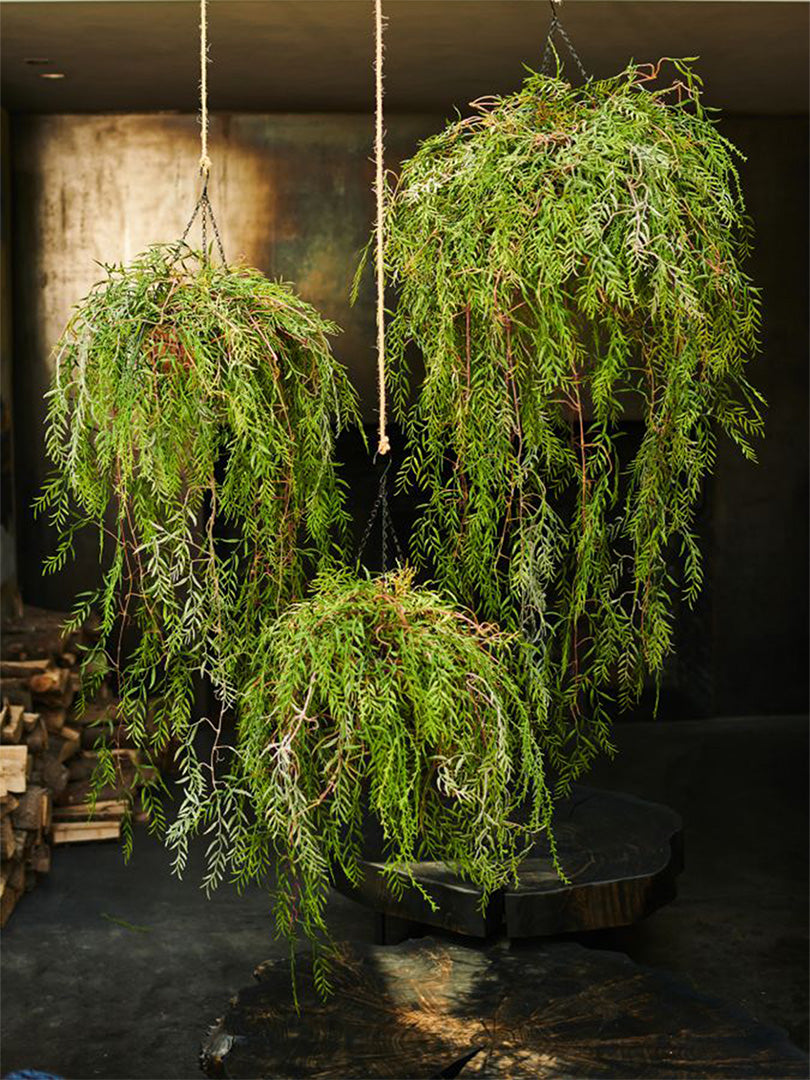 Hangplant groen 150 cm