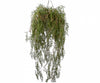 Hangplant groen 150 cm