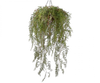 Hangplant groen 120 cm