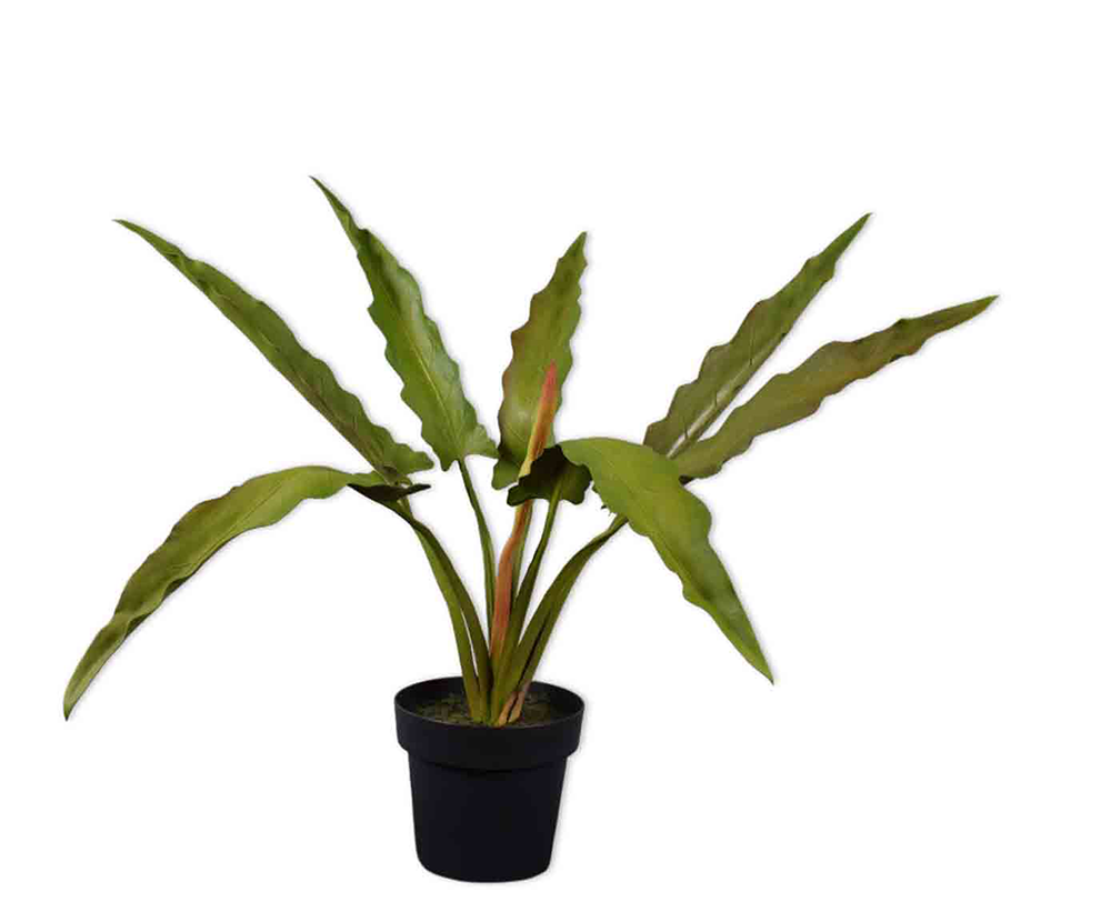 Plant groen | 114 cm