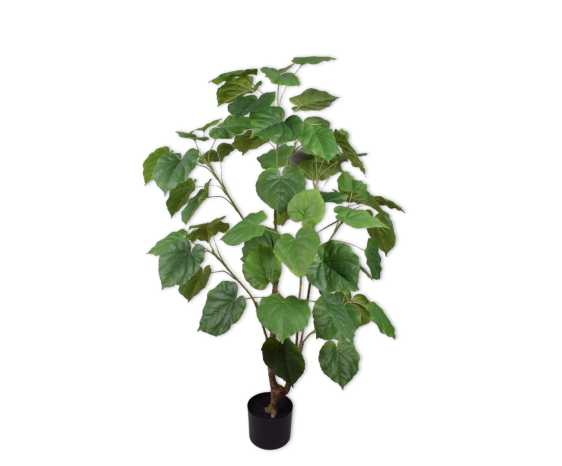 Plant Groen | 120 cm