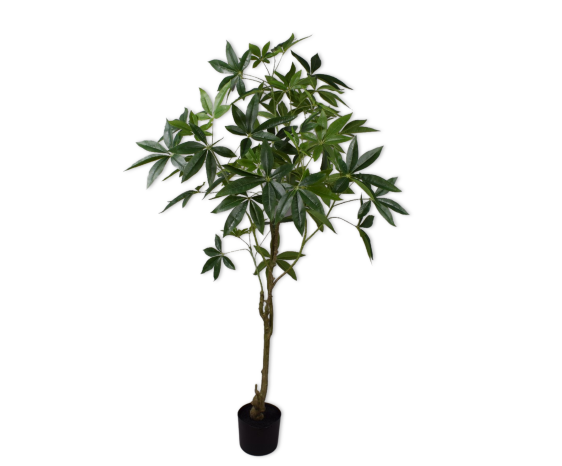Plant Groen | 150 cm