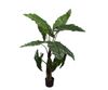 Alocasia groen | 121 cm