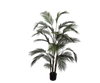 Palm Groen | 152 cm