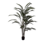 Palm Groen | 183 cm