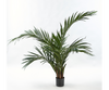 Plant Palm | 118 cm