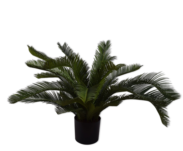 Plant Palm | 80 cm