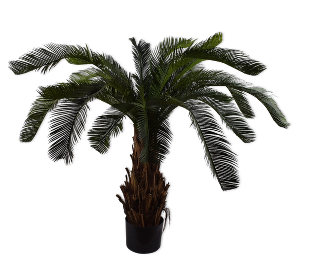 Plant Palm | 60 cm