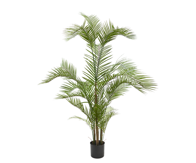 Plant Palm | 180 cm