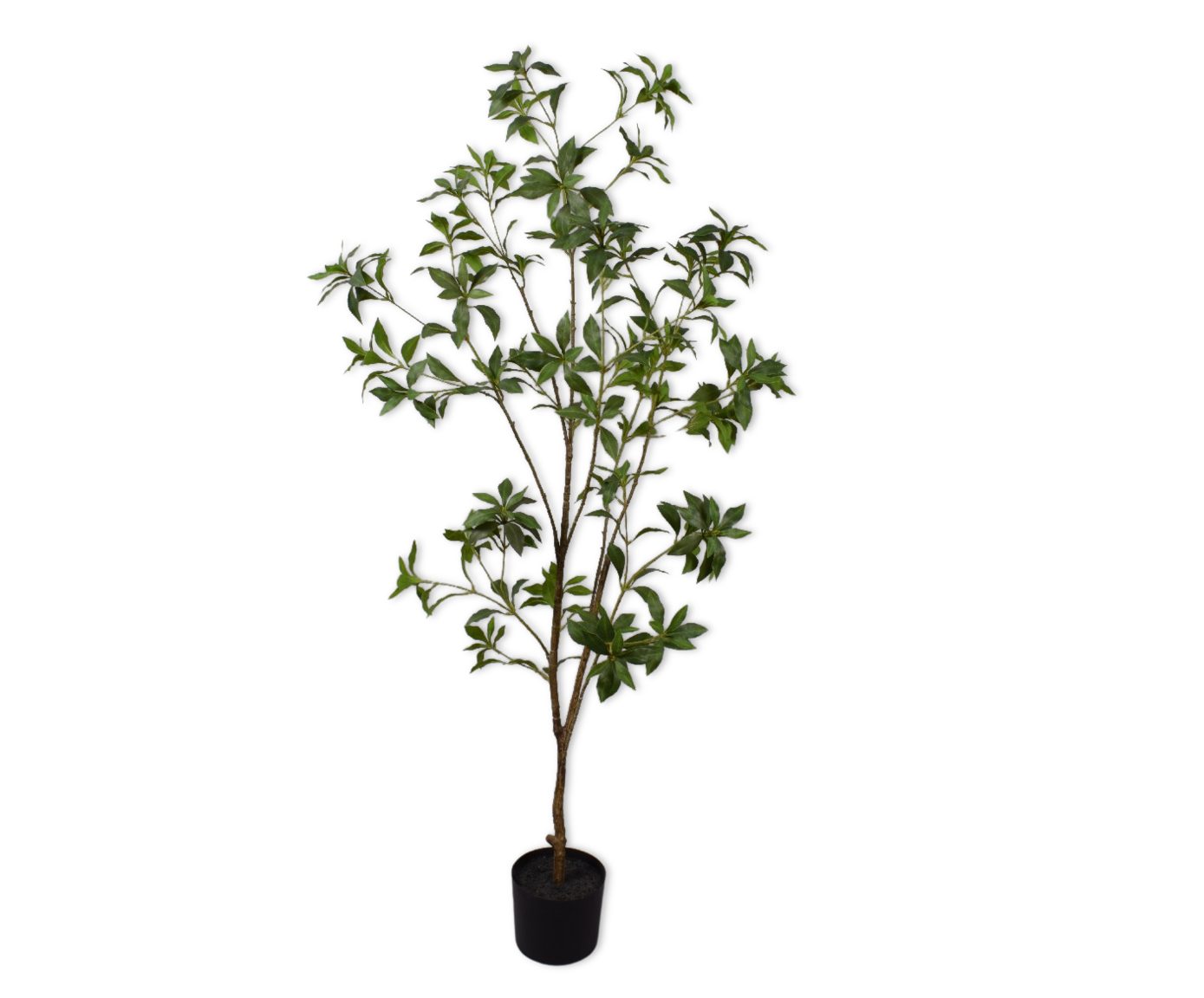 Kunstplant Pittosporum |  150 cm