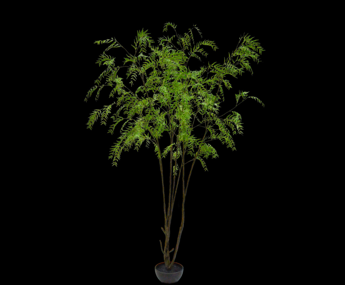 Kunstplant Wilg | 280 cm