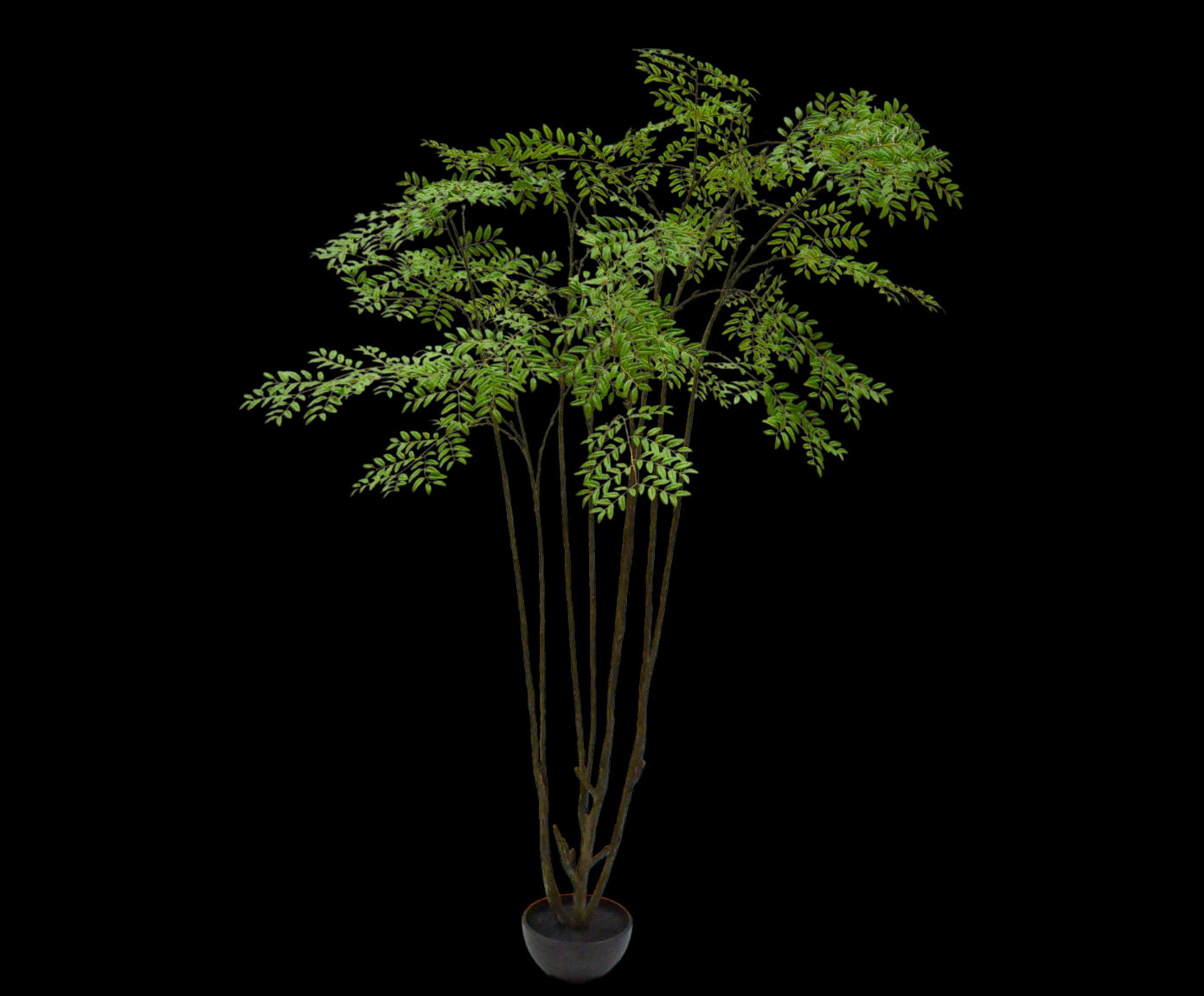 Kunstboom Aralia | 240 cm