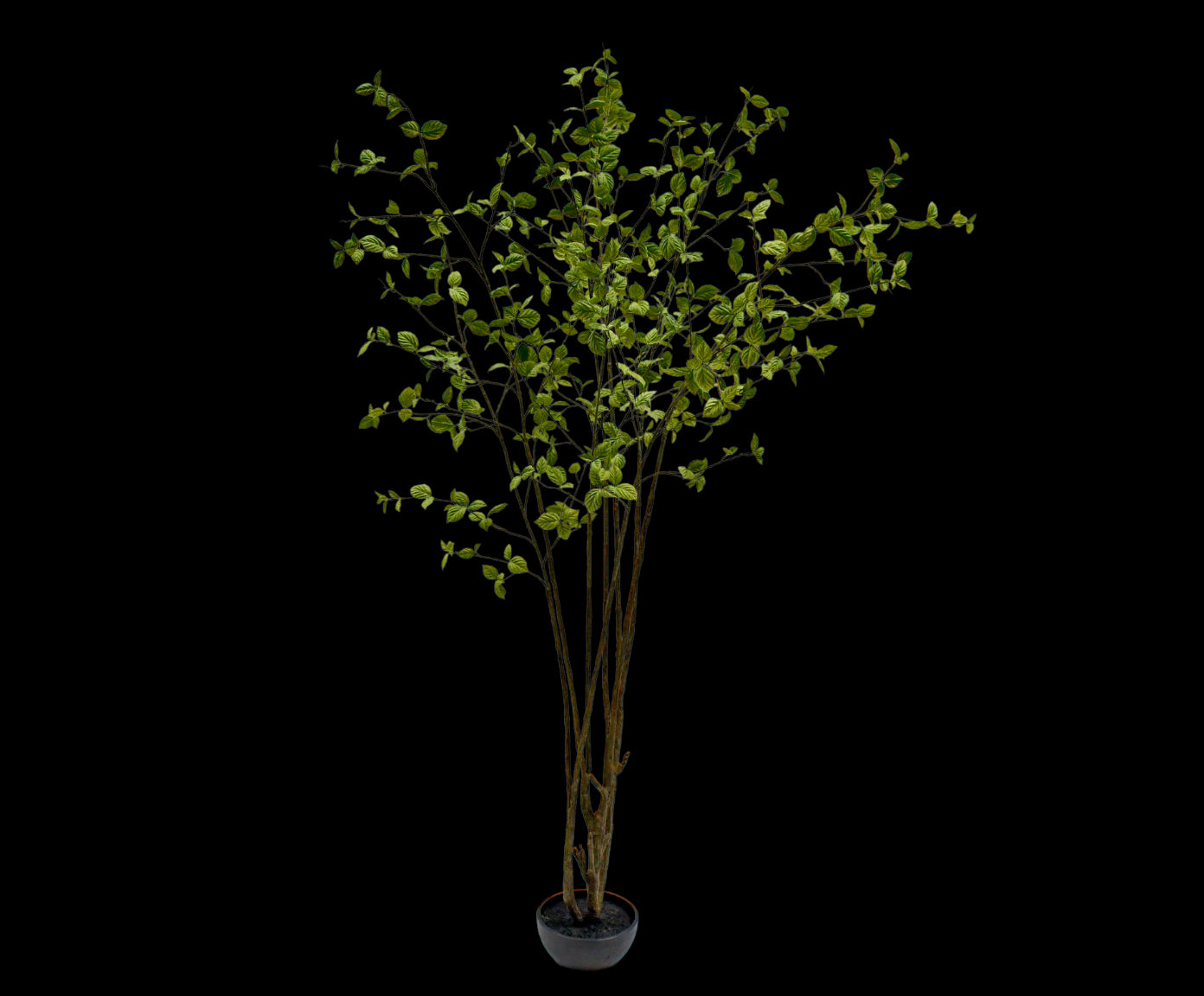 Kunstboom Beuken | 260 cm