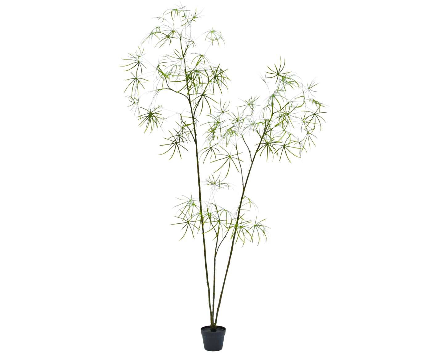 Kunstplant Schefflera | 223 cm