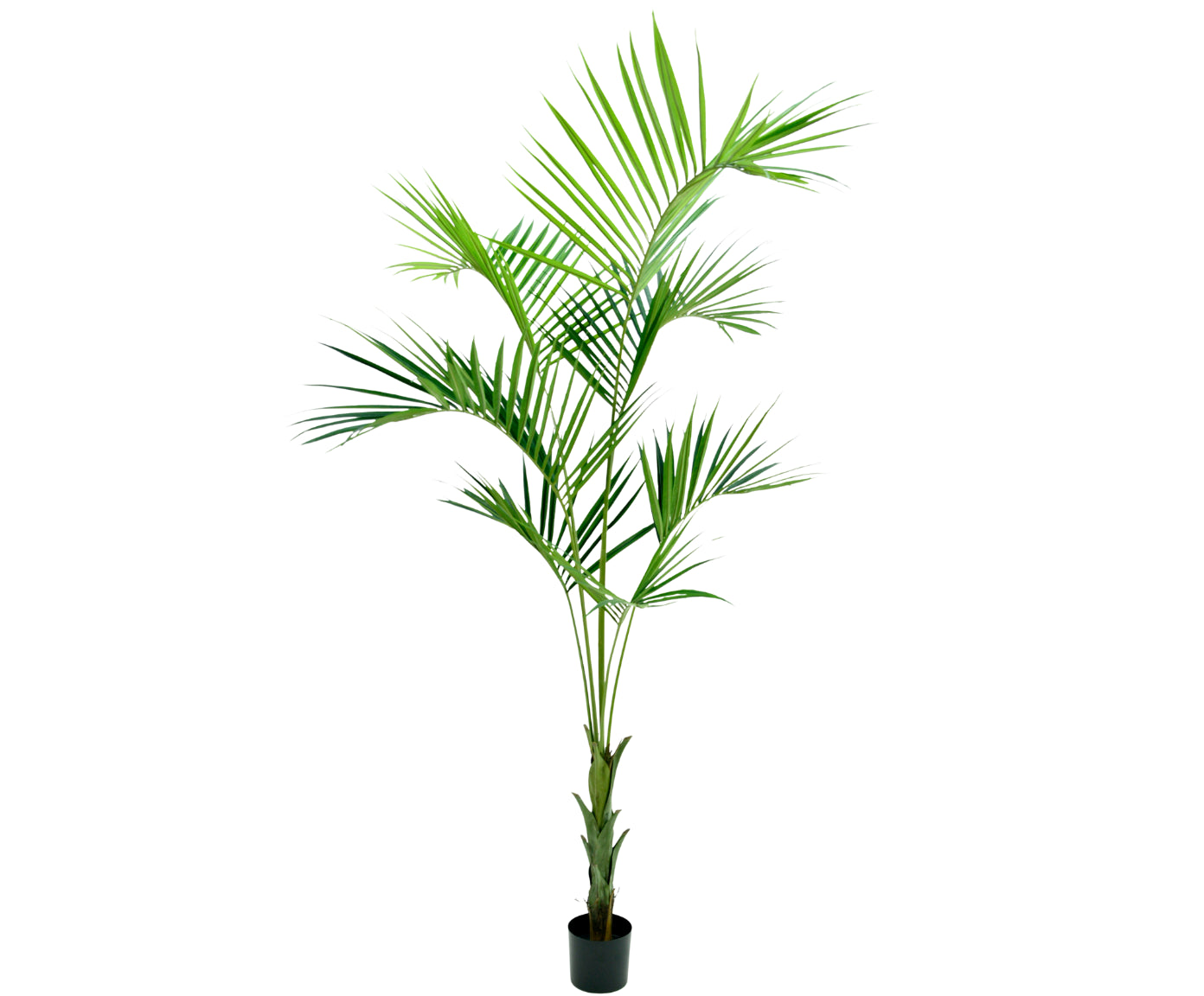 Kunstplant Palm Kentia - Groene stam | 250 cm
