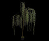 Kunstplant Wilg | 147 cm