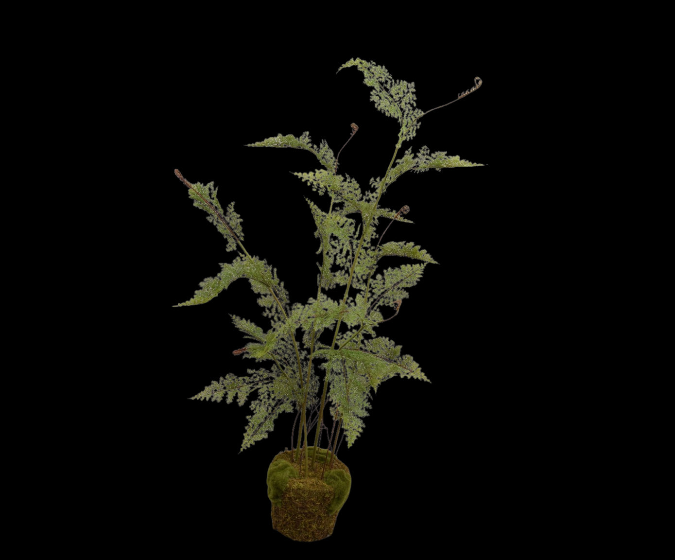 Kunstplant Varen | 122 cm