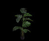 Kunstplant Monstera | 120 cm