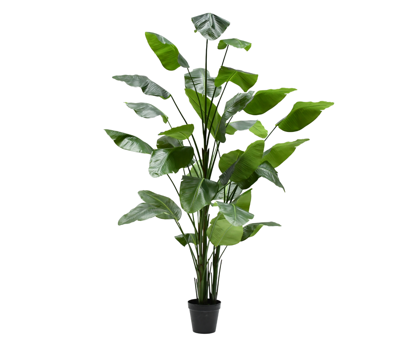 Kunstplant Strelitzia