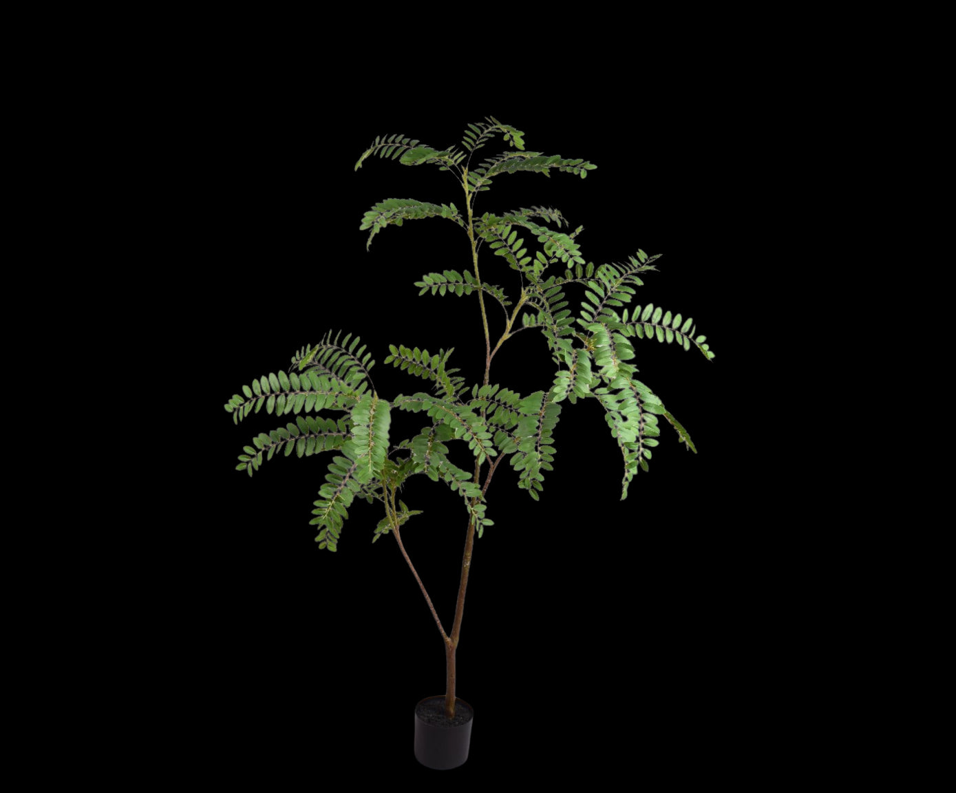 Kunstplant Mimosa | 150 cm