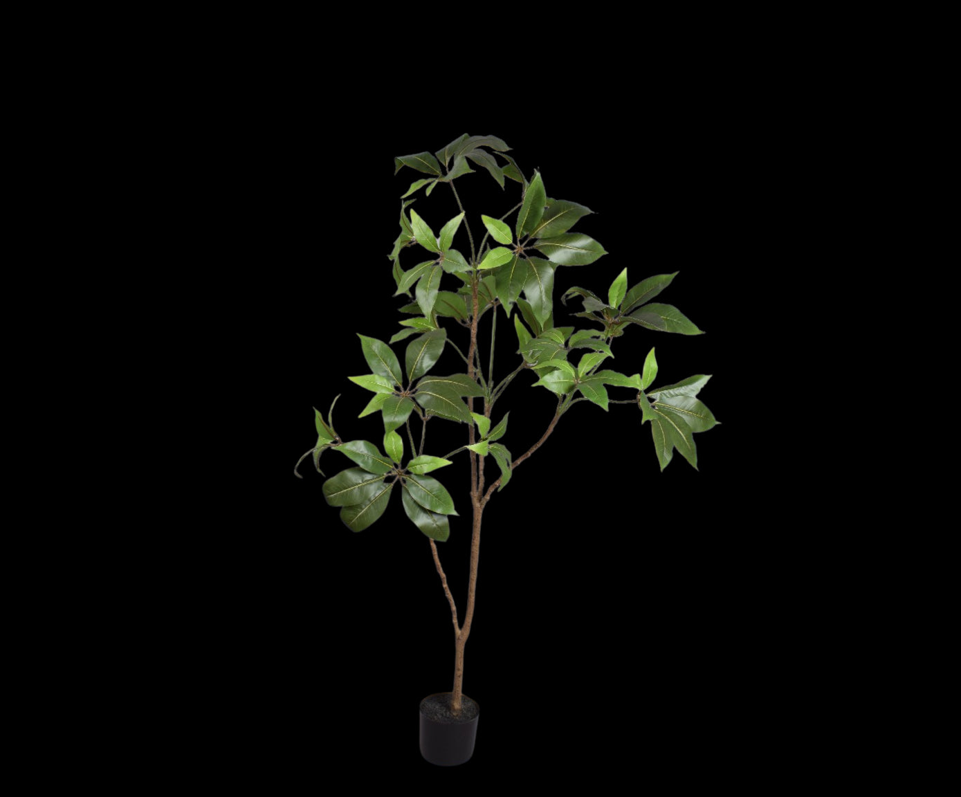 Kunstplant Schefflera | 150 cm