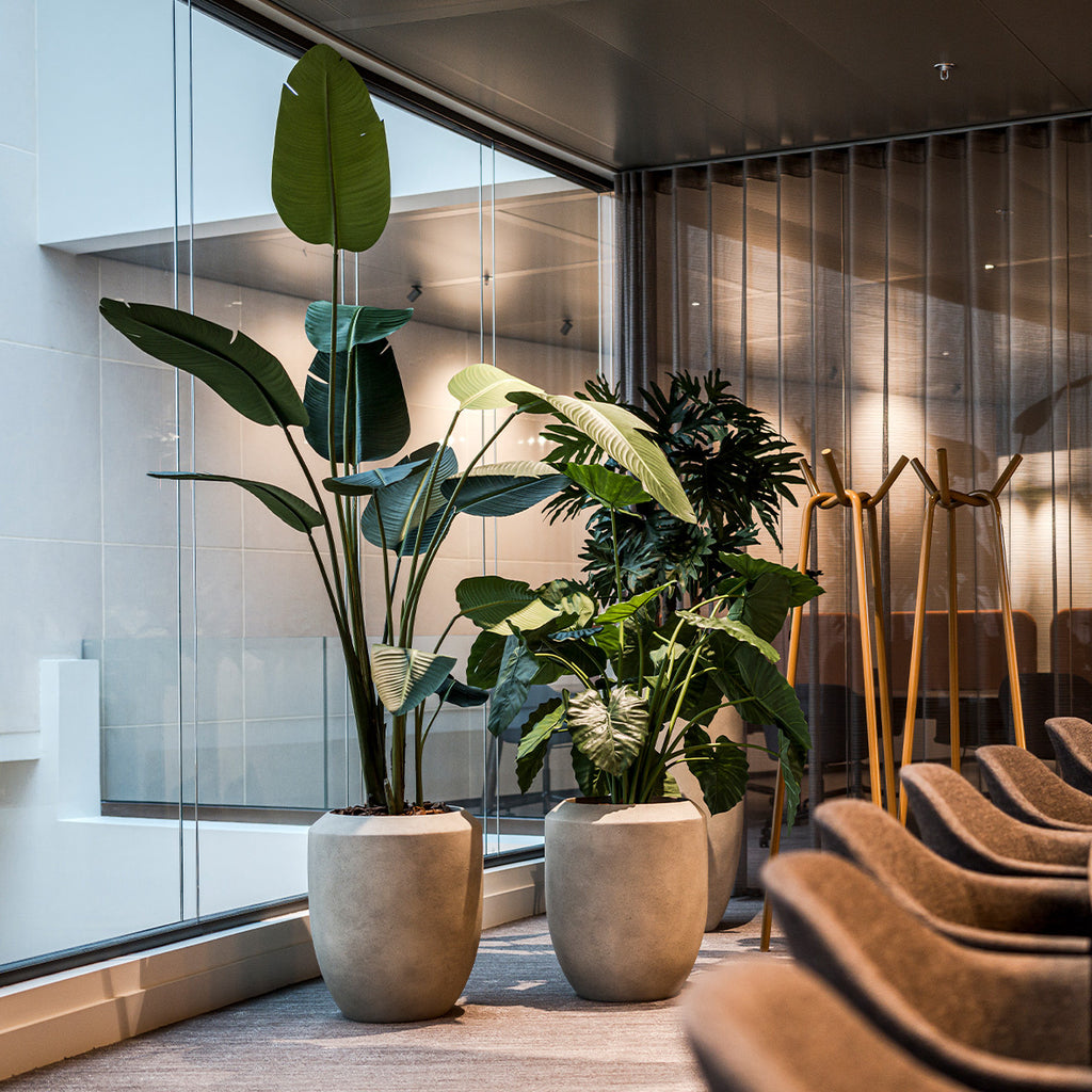 Kunstplant Strelitzia - H230